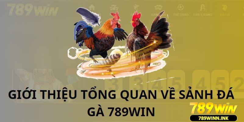 Cách chơi đá gà 789Win là như thế nào?