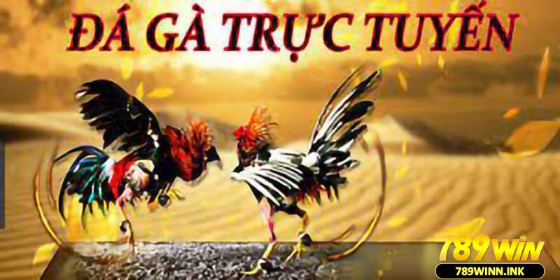 Đôi điều tổng quan về đá gà trực tuyến cho tân binh