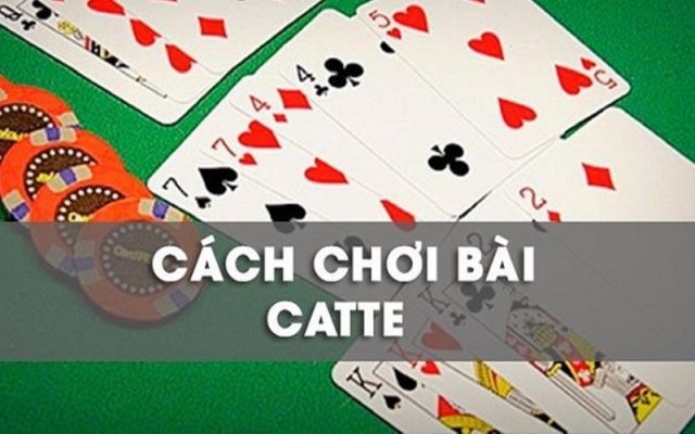 Tìm hiểu về bài Catte và cách tham gia